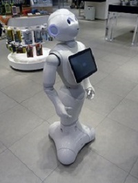 információs robot